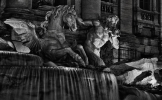 Detail von dem Brunnen „Fontana di Trevi“