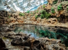 Loro Park - Pinguin Habitat
