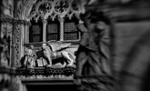 Doge mit Löwe::belichtet mit speziellem Tilt und Shift Objektiv.